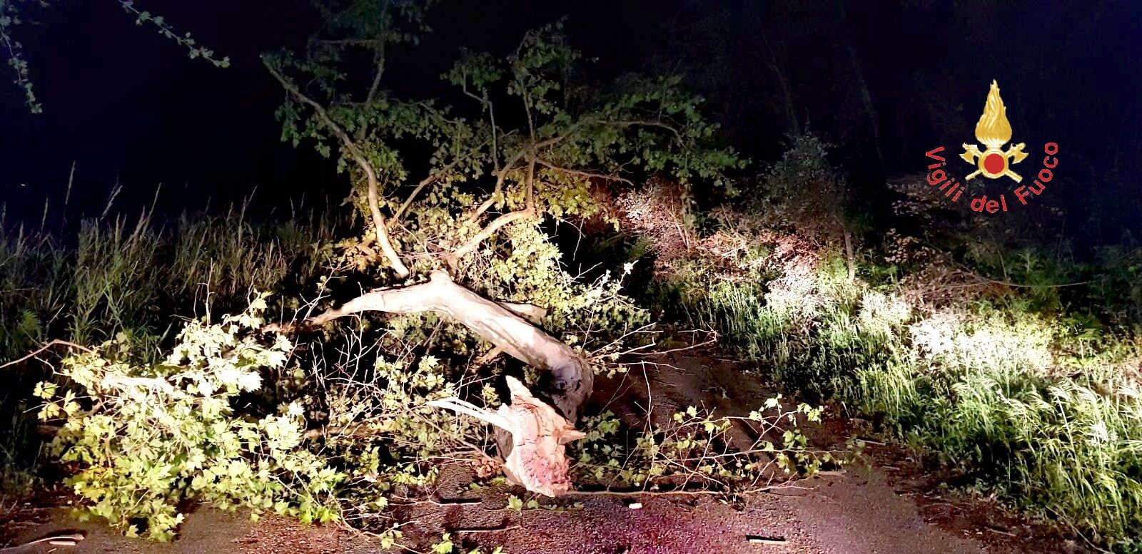 Incendi e danni per il forte vento. Chiusa la Statale 18 – VIDEO e FOTO