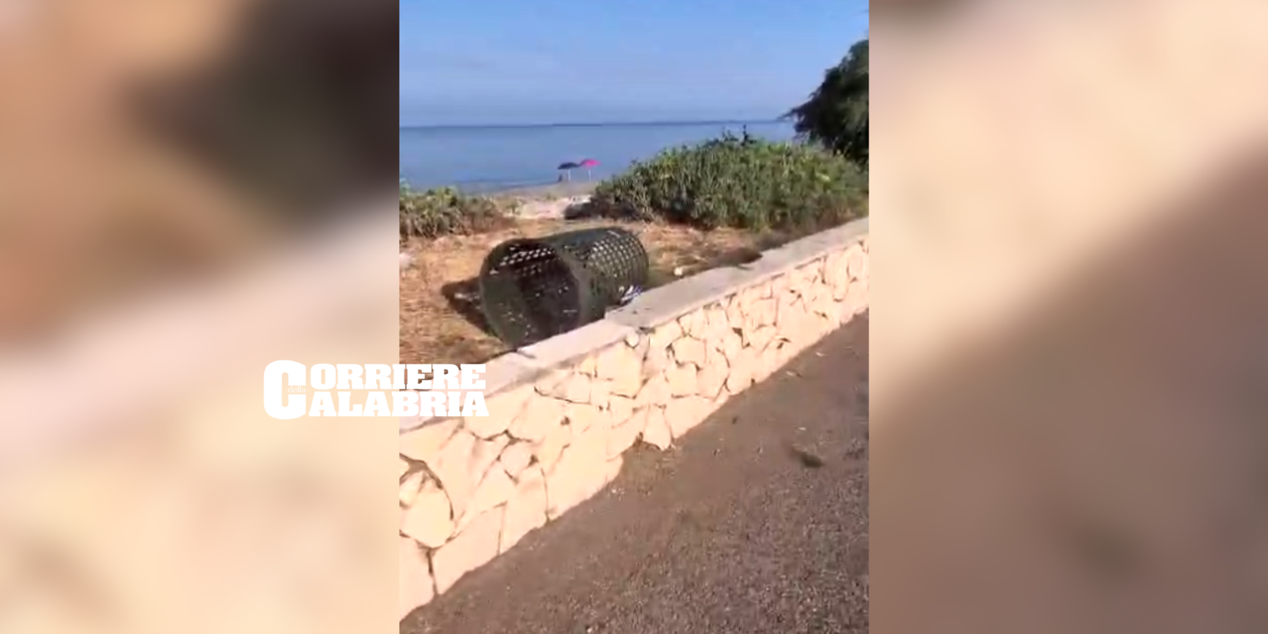 A Falerna «lungomare deserto» e disservizi, ma il sindaco parla di crescita: scoppia la polemica – VIDEO