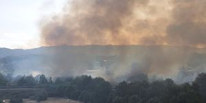 Incendio sulla A2, tra gli svincoli di Cosenza Sud e Cosenza Nord