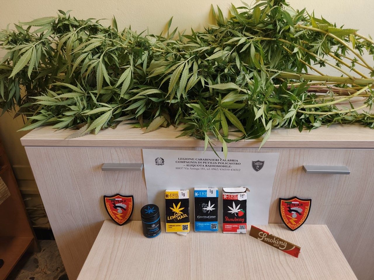 Petilia Policastro, coltiva cannabis sul balcone: denunciato 45enne