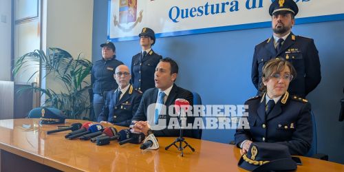 piccola sofia cosenza conferenza stampa