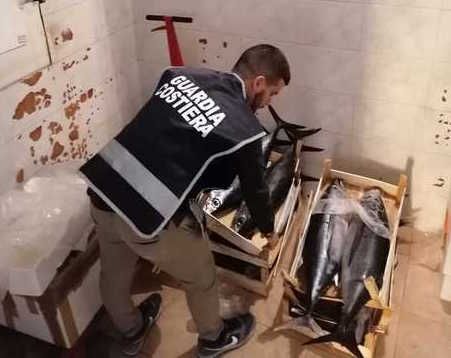 Cirò, sequestrati 150 chili di tonno pescato illegalmente