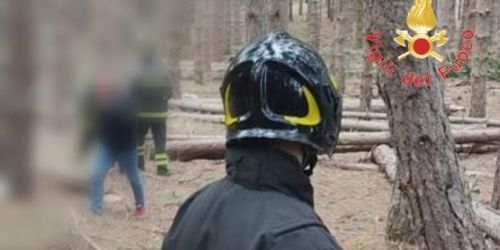 Rimane schiacciato dal fusto durante il taglio di un albero, 33enne muore nel Cosentino