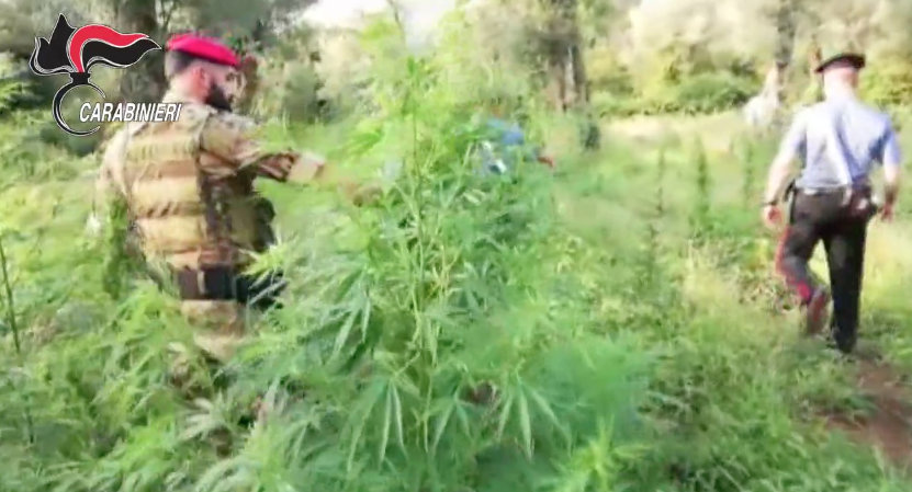 Associazione mafiosa, estorsione e droga: misure cautelari per otto persone – VIDEO