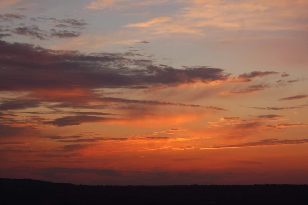 «La “grande cecità” del Sapiens dinnanzi alla crisi climatica»