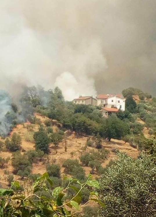 Due morti e più di cento roghi, è incubo incendi