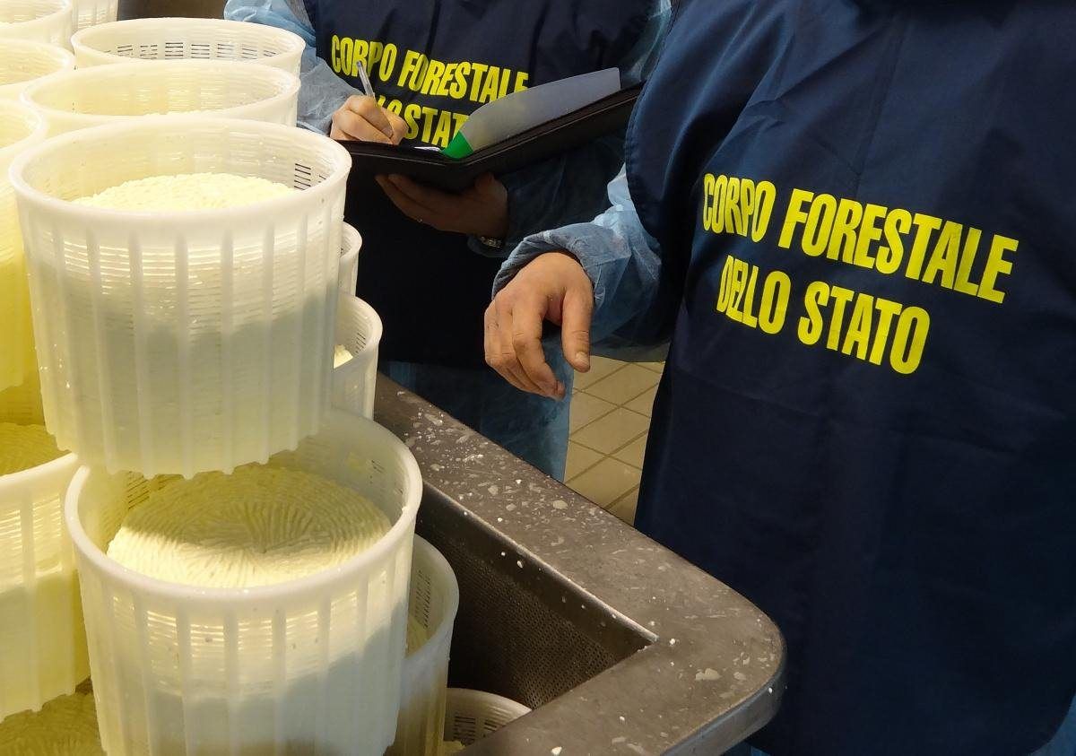 Reggio, sequestrati 4 quintali di cibi contraffatti