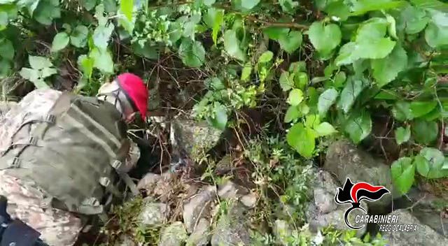 Rinvenuti una pistola e 38 proiettili in un casolare nel Reggino