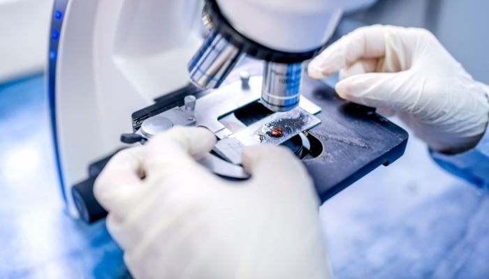 Nei supercentenari un’insolita abbondanza di cellule immunitarie anticancro