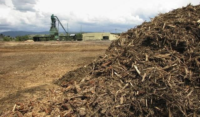 Le biomasse un affare per i clan. «Ogni mese prendiamo 300mila euro»