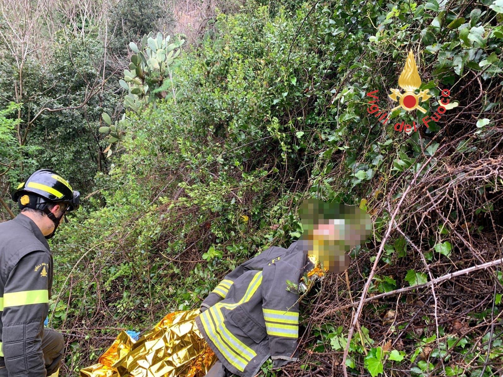 Si getta in una scarpata a Catanzaro per sfuggire alla cattura, finisce in ospedale – FOTO  E VIDEO