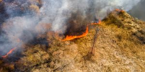 Incendi in Calabria, l’allarme di Legambiente: «Non è un’emergenza, ma una crisi strutturale»