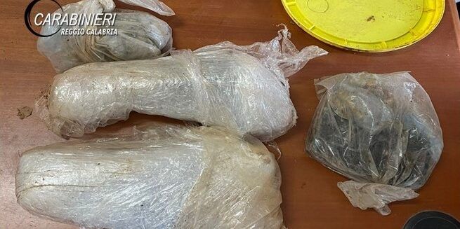 Armi e 200 munizioni in un fondo agricolo nel Reggino. La scoperta dei carabinieri