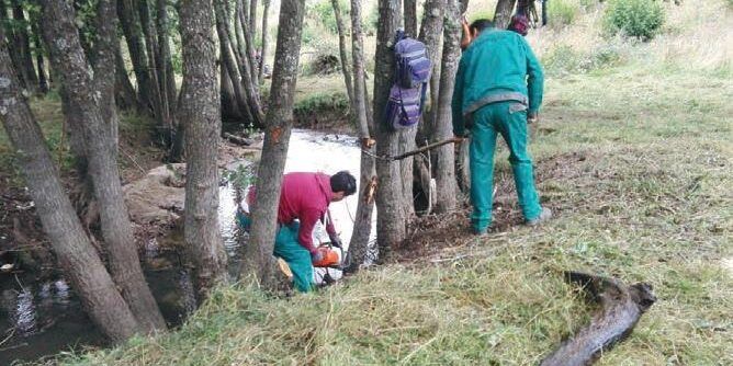 Manovra, la Fai Cisl: servono immediate correzioni per la forestazione calabrese