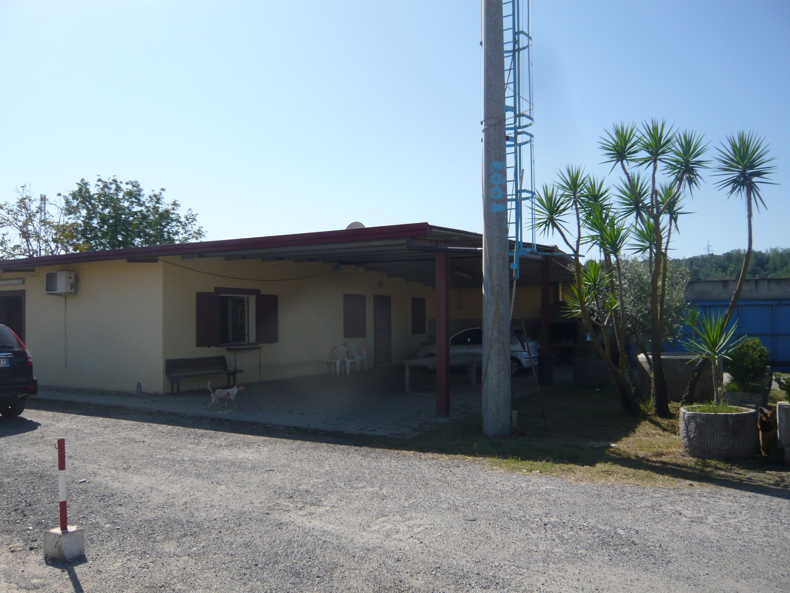 Appalti a Rosarno e aziende intestate a prestanome, confiscati beni per due milioni – FOTO