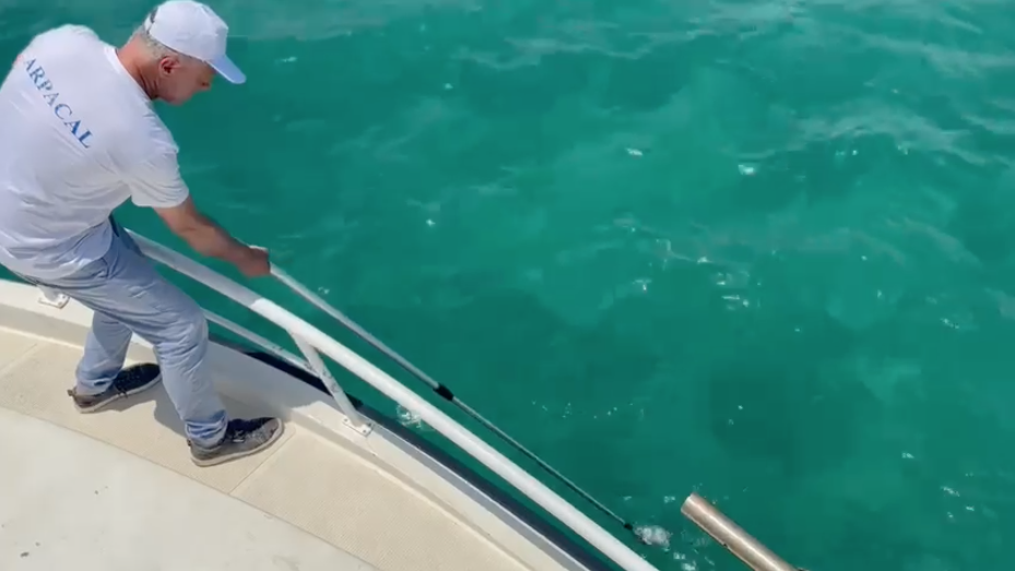 Nuovi controlli sul Tirreno, tra video di mare cristallino e segnalazioni della “solita” schiuma