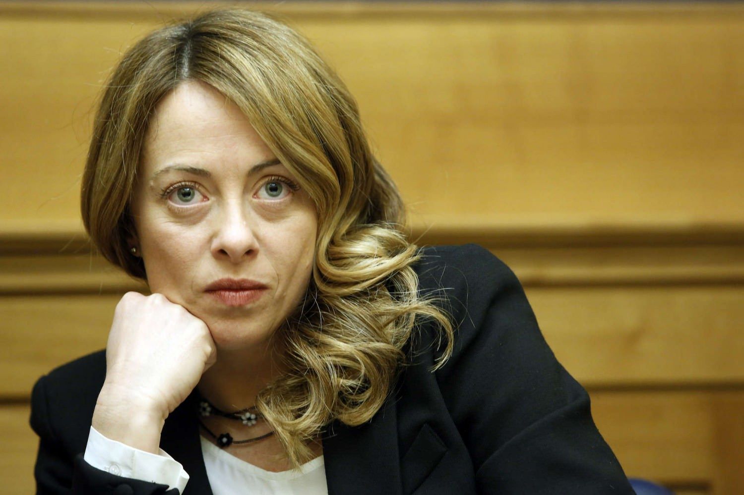 Fratelli d'Italia accoglie Orsomarso e Dima