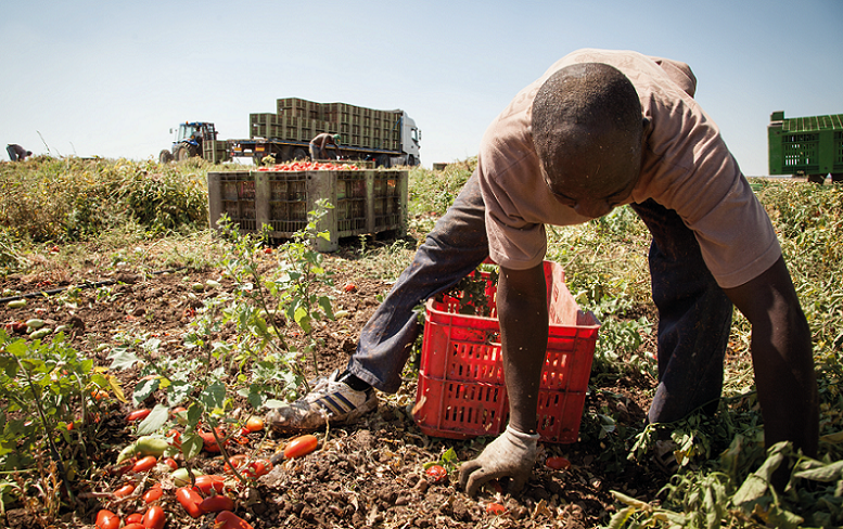 Cgil contro il Caporalato: «Da tempo denunciamo i diritti negati in Calabria»