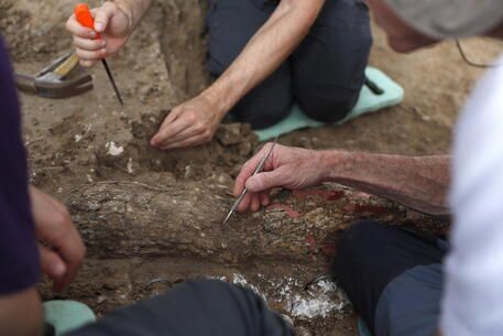 Eccezionale scoperta a Cosenza. Emerse sei tombe di età romana