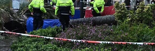 Donna muore schiacciata da una palma a Genova