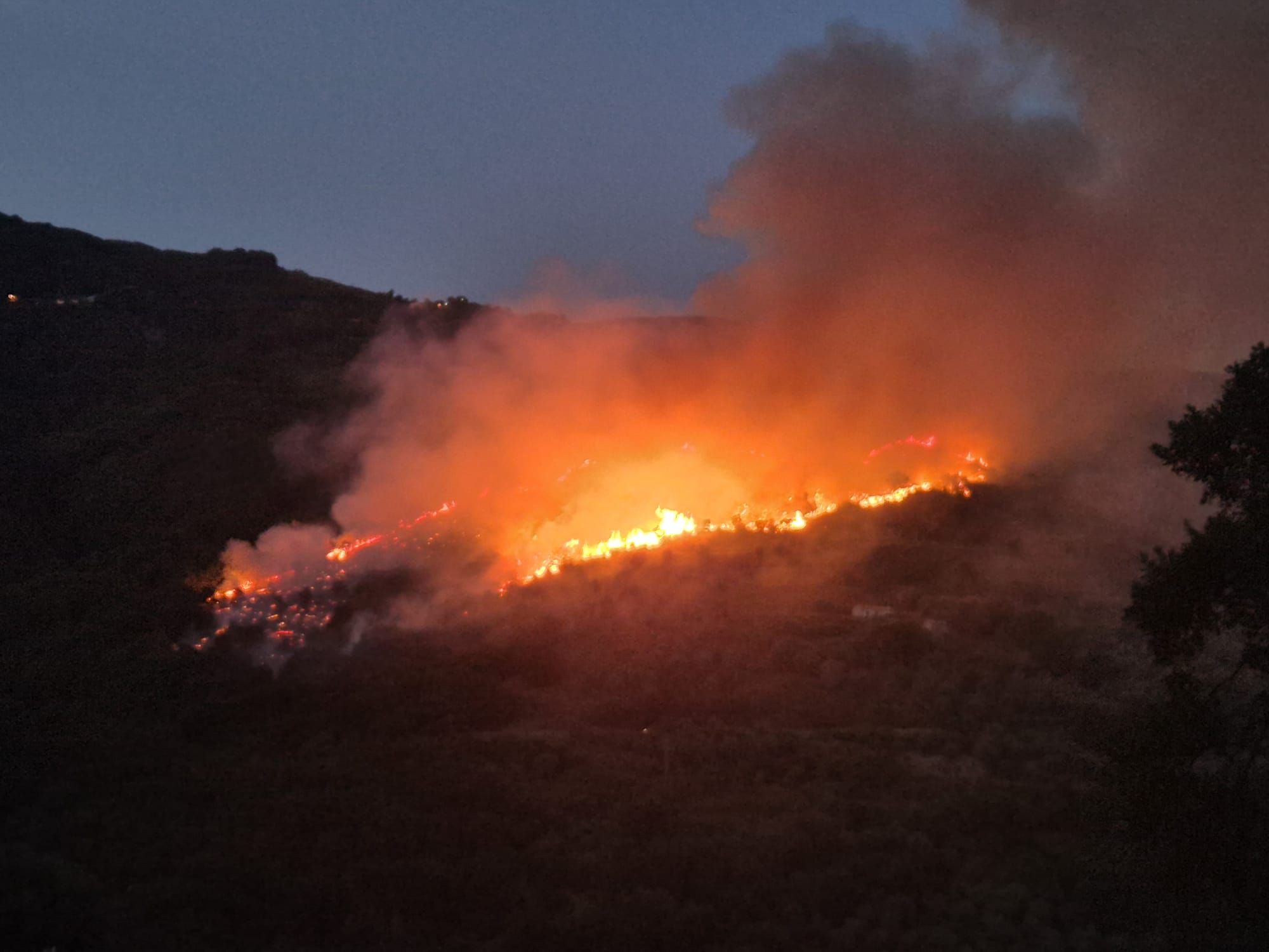 Brucia il territorio tra Falerna e Gizzeria: il fuoco risale verso Monte Mancuso