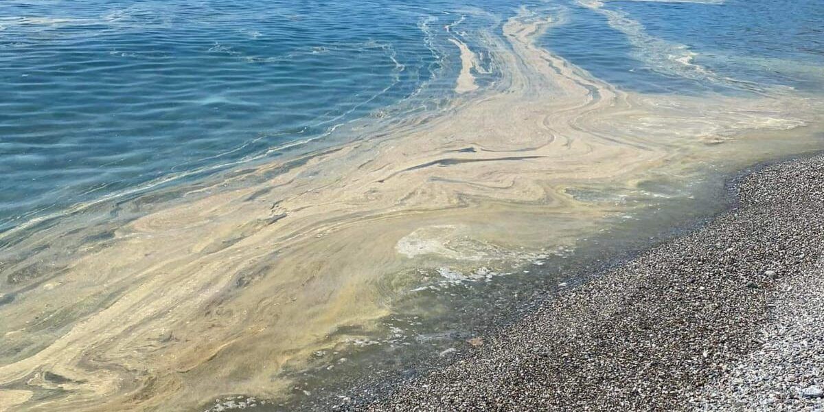 Mare sporco a Guardia Piemontese, chiazza scura e melmosa arrivata fino a riva – FOTO