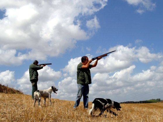 Ripartono caccia e pesca, la Regione firma l'ordinanza