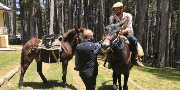 Parco della Sila: dall’isola di Pantelleria fino a Torino, a passo di mulo