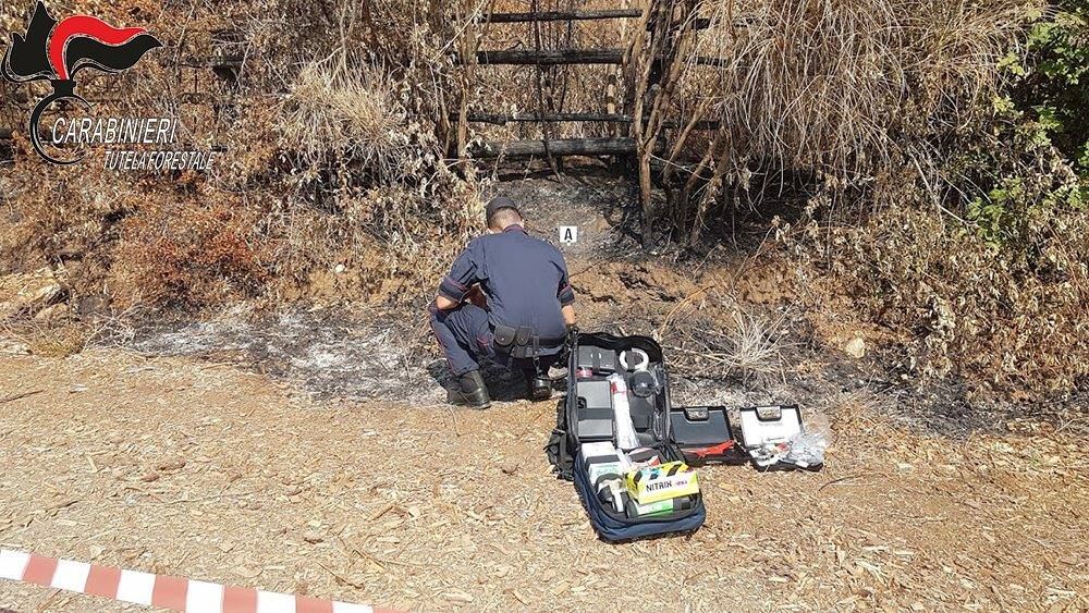 Danno fuoco ai terreni per trarre profitto per il pascolo, denunciati