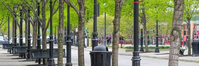 Confagricoltura: «Cambiare le linea di intervento sul verde pubblico»