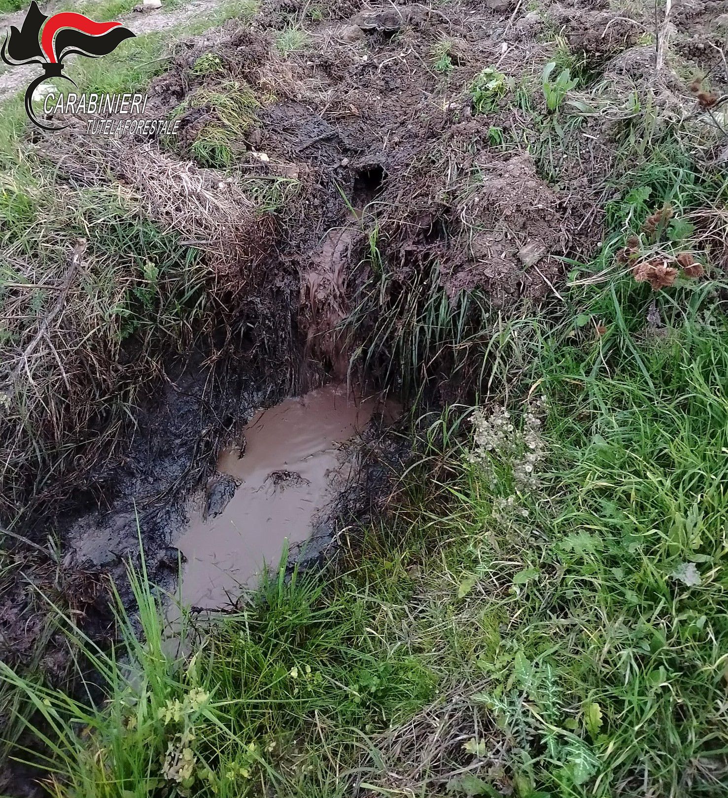 Scarichi illeciti nei torrenti Vitravo e Seccata, sequestrato frantoio nel Crotonese