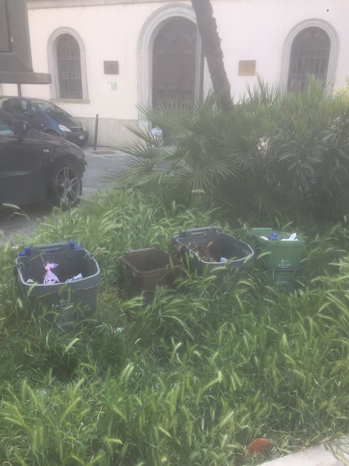 “Adotta una pecora”, Catanzaro fa scuola a Roma Capitale