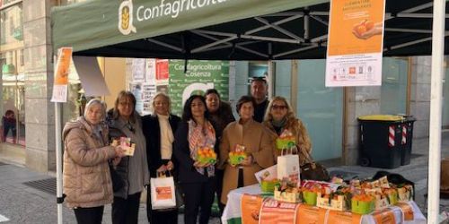 clementine antiviolenza cosenza