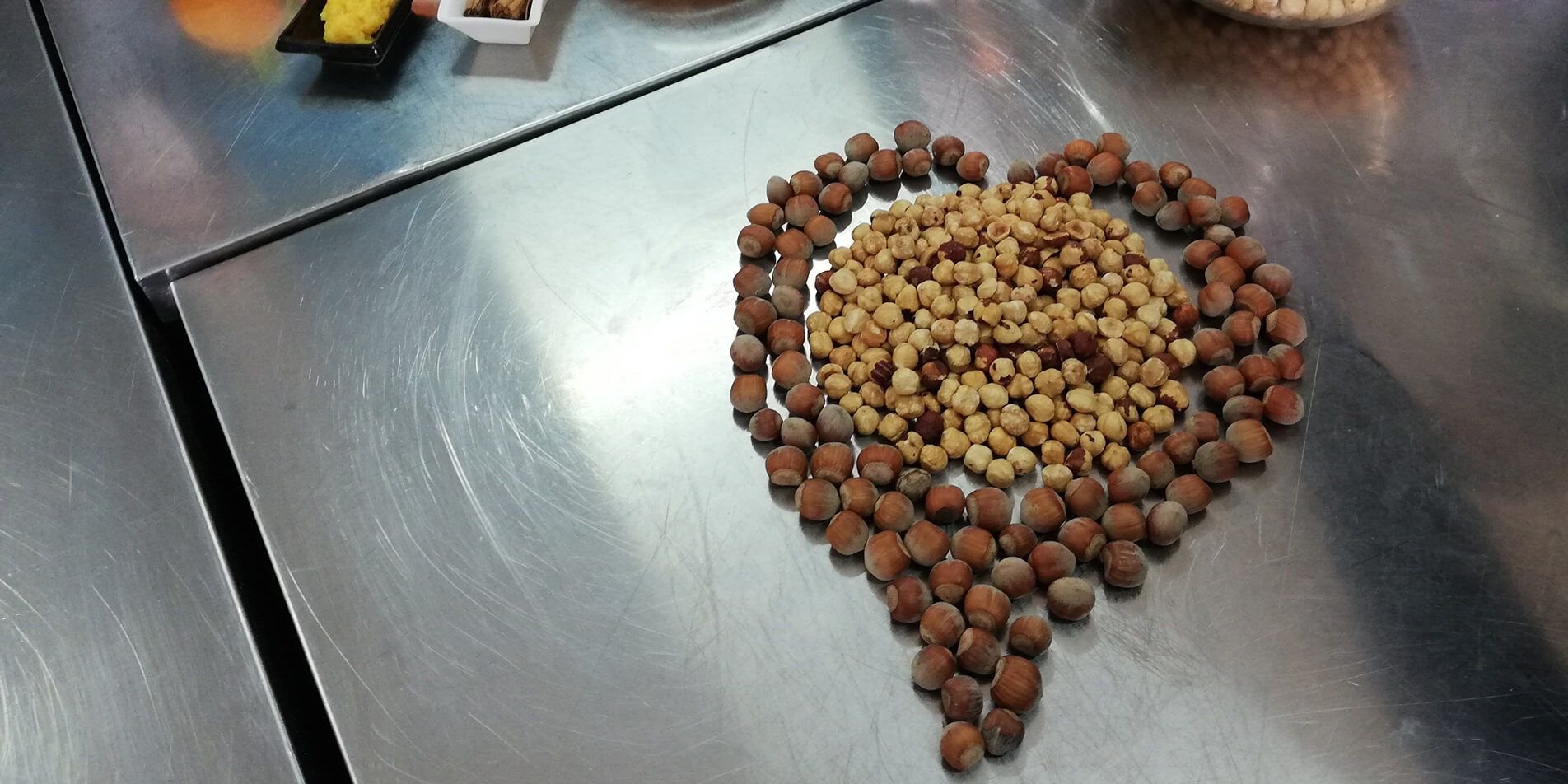 Gal “Serre Calabresi”: ad Amaroni il workshop “La nocciola e il miele, opportunità tra storia e tradizione”