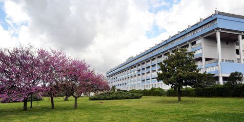 ospedale lamezia lettera paziente