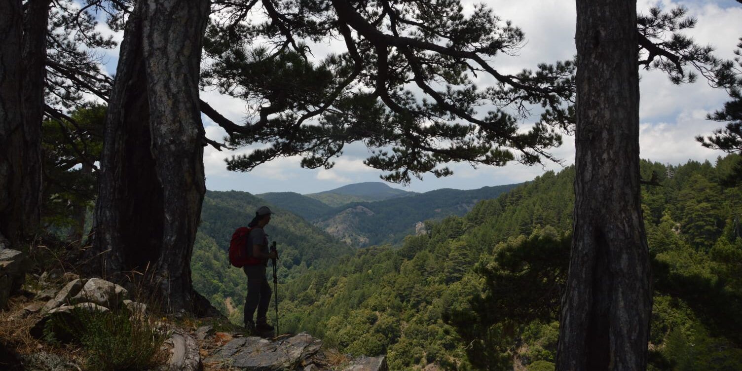 «Aspromonte, the day after. Tra restauro del paesaggio e cliniche dei risvegli»
