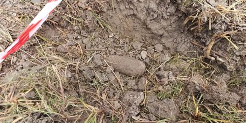 bomba mortaio tedesca università catanzaro