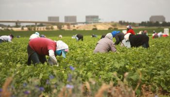 Alloggi per i braccianti agricoli, ok in Cdm