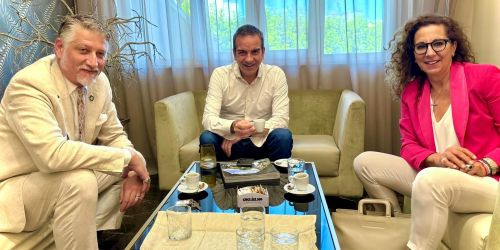 giuli, occhiuto, ferro