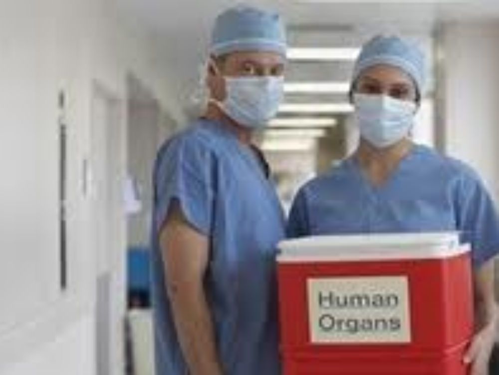 Prelievo multiorgani al policlinico di Catanzaro