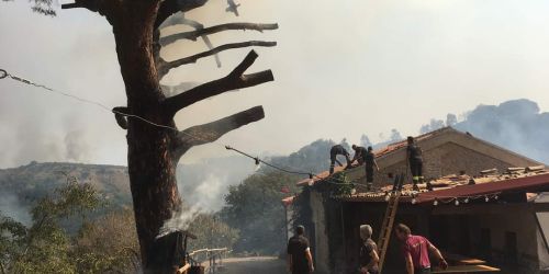 incendi nido di seta