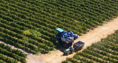 Fondi Ue, i record calabresi in agricoltura