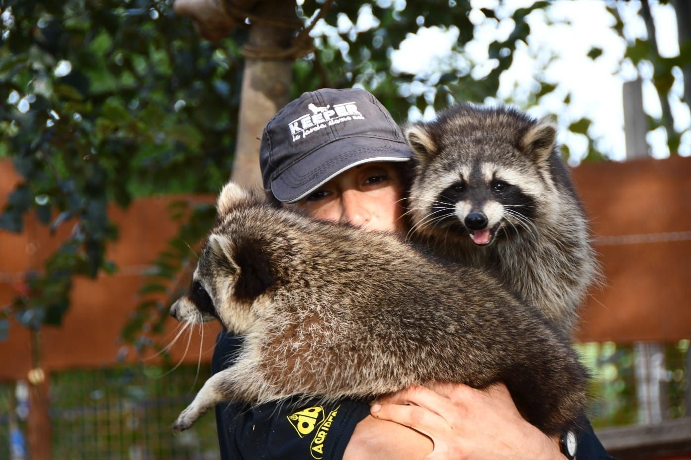 Enzo Salvi e “La mia vita è uno Zoo”: tra natura, favola e lezioni dal vivo – VIDEO