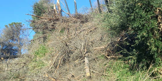 «Bosco Li Comuni sottratto alla fruibilità dei catanzaresi»