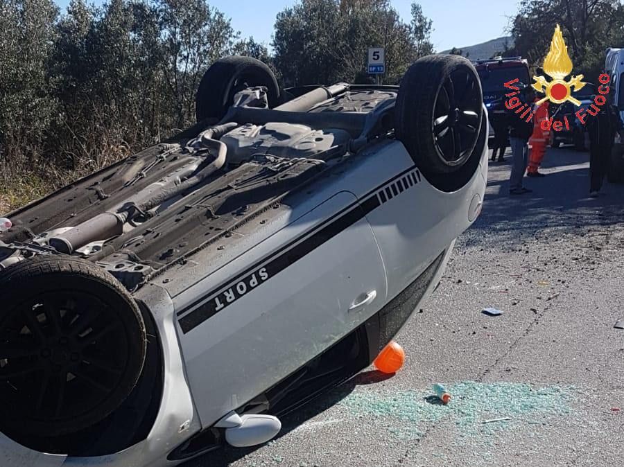 Catanzaro, finisce fuori strada per scansare un cinghiale