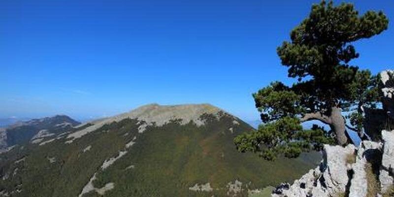Parco nazionale del Pollino, via libera al Piano
