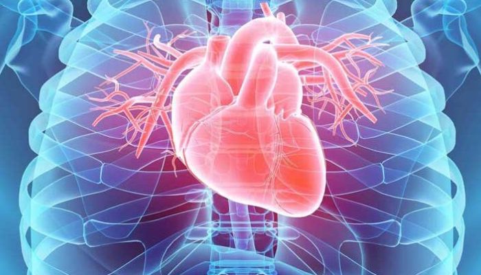 Scompenso cardiaco e geriatria, l’Umg protagonista a Barcellona