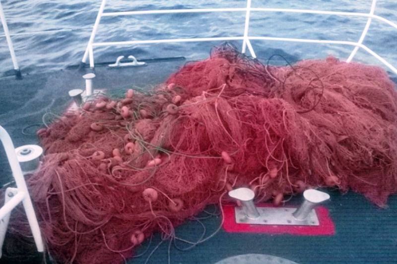 Lotta alle spadare, sequestrati 3.500 metri di reti illegali