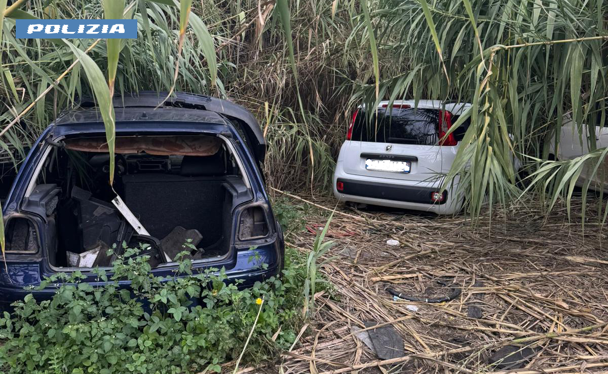 “Focus ‘ndrangheta” nella Piana, scoperto un deposito di auto rubate