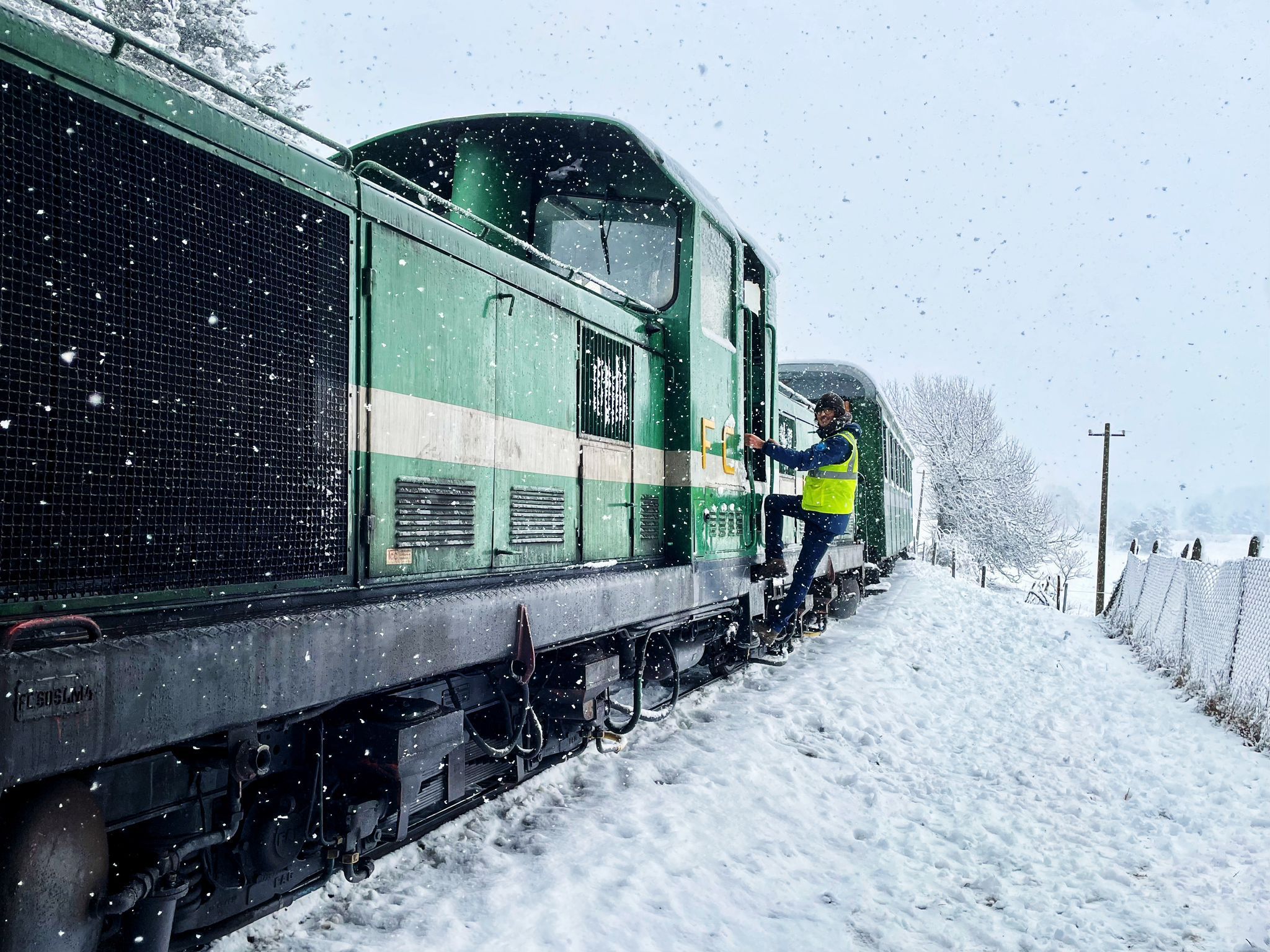 Lo straordinario spettacolo della Sila innevata, la vista privilegiata a bordo dei “Treni delle Vette” – FOTO E VIDEO
